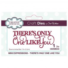 Sue Wilson Craft Dies Mini Expressions There's Only One Like You