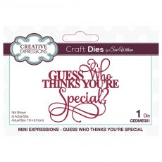 Sue Wilson Craft Dies Mini Expressions Collection Guess Who Thinks You're Special