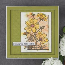 Woodware Clear Stamps Cosmos Collection | Set of 2