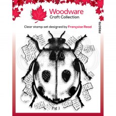 Woodware Clear Stamps Ladybird