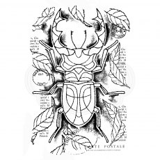 Woodware Clear Stamps Stag Beetle