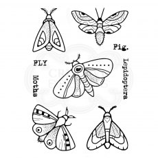 Woodware Clear Stamps Moths | Set of 9