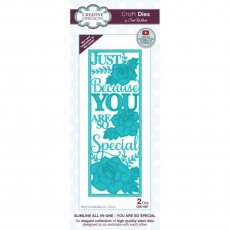 Sue Wilson Craft Dies Slimline Collection You Are So Special | Set of 2