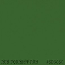 IndigoBlu Artists Matte Acrylic Paint Run Forrest Run | 20ml
