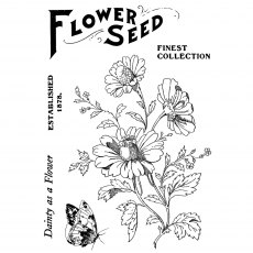 Creative Expressions Sam Poole Clear Stamp Set Flower Seed | Set of 6
