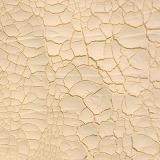 Cosmic Shimmer Crackle Paste Ivory | 75ml