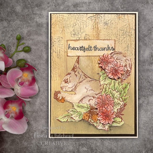 Creative Expressions Designer Boutique Clear Stamps Nuts About You