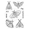 Woodware Woodware Clear Stamps Moths | Set of 9