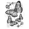 Woodware Woodware Clear Stamps Three Butterflies