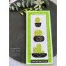 Woodware Woodware Clear Stamps Build a Cactus | Set of 14
