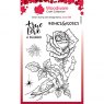 Woodware Woodware Clear Stamps Bones & Rose | Set of 5