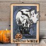 Woodware Woodware Clear Stamps Spooky Goings On | Set of 5